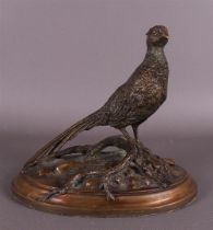 A brown patinated bronze pheasant 'Hunter's' on oval base, signed Robert Loggat (1963-), numbered