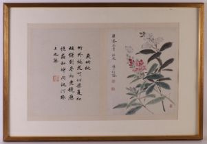 Two various Japanese prints in frame, 20th century, h 72 x w 53 cm (including frame), up to. 2x.