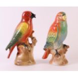 A pair of polychrome porcelain parakeets, Germany, early 20th century, h 19 cm, to. 2x. (chip)