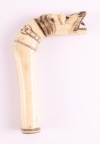 A carved bone walking stick handle in the shape of a dog, 19th century