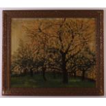 Edzard Koning (signed as) 'Flowering fruit trees',