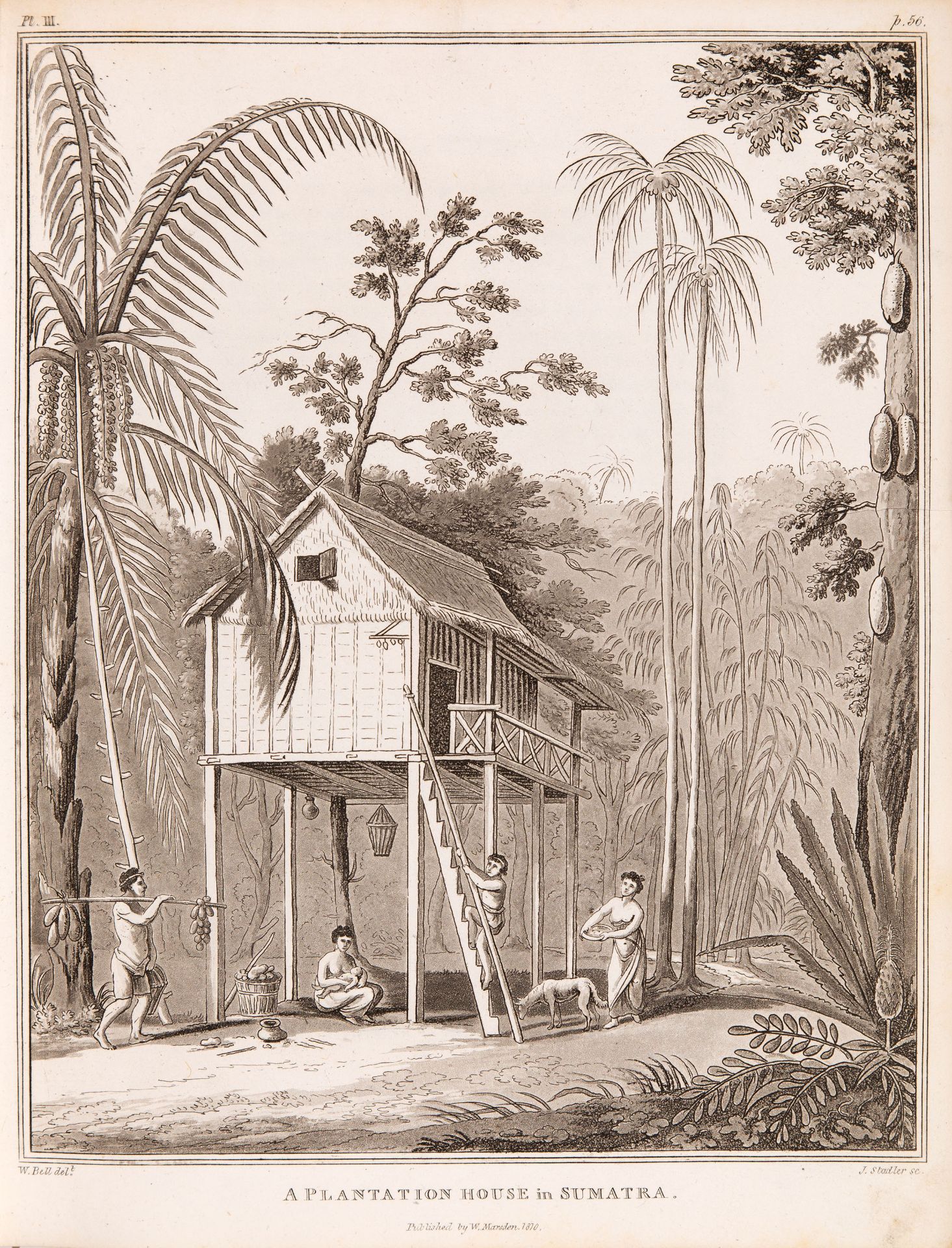 W. Marsden, History of Sumatra. 3d. edition. Ldn. 1811. - Bild 2 aus 3