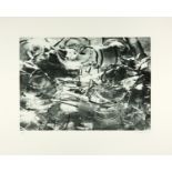 Rosemarie Trockel. Grüße aus der Provinz. 1990. Photogravure. Signiert. Ex. 3/30.