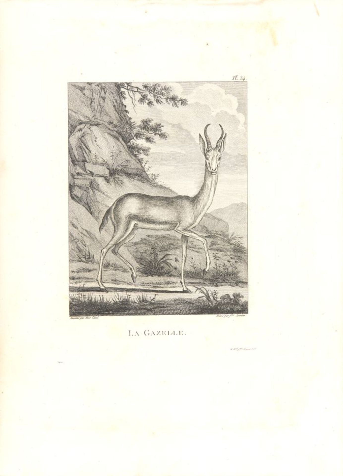 J. B. L. Durand, Atlas pour servir au voyage du Sénégal. Paris 1807. - Bild 5 aus 6