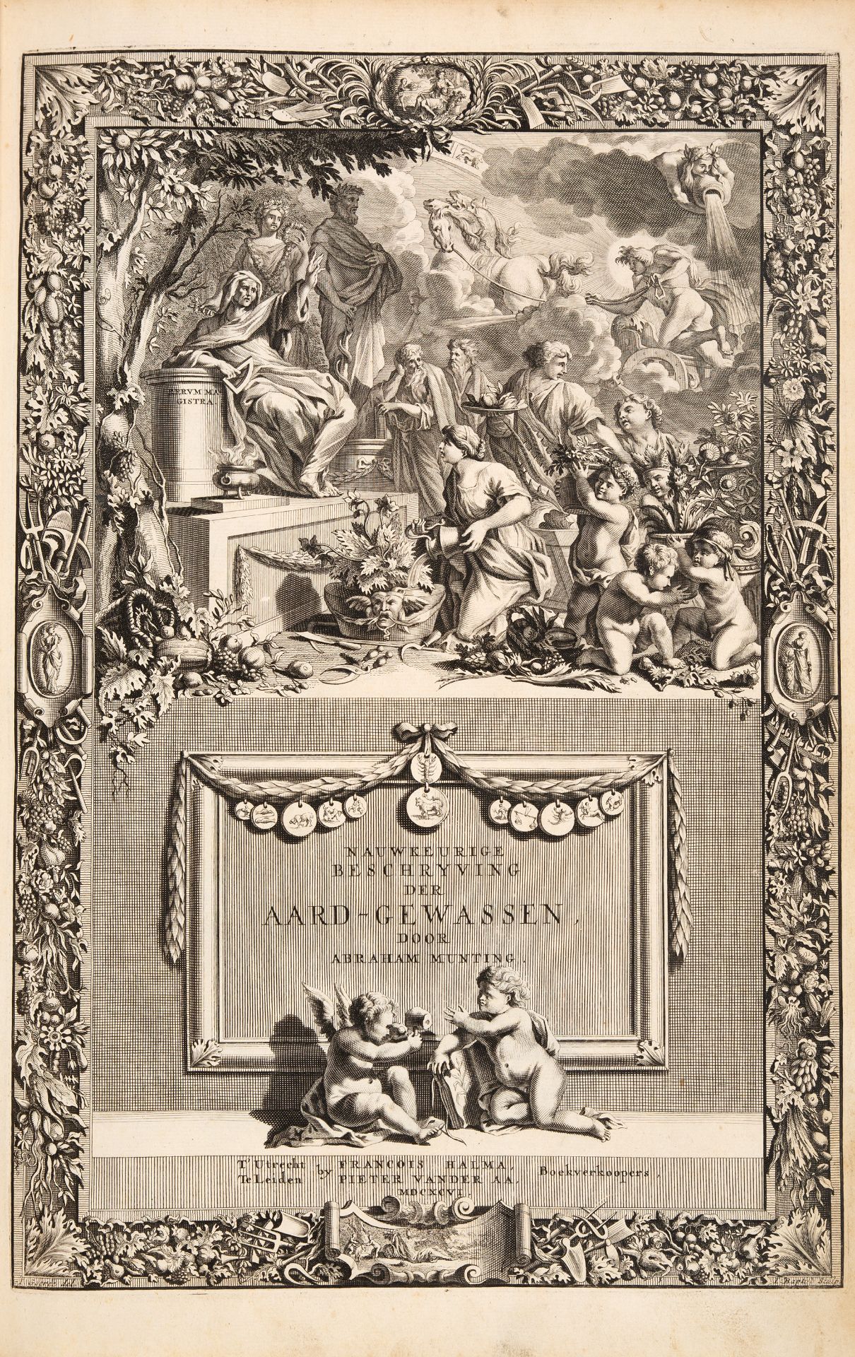 A. Munting, Naawkeurige Beschryving der Aardgewassen. 2 Bde. Leiden u. Utrecht 1696 - Bild 2 aus 8