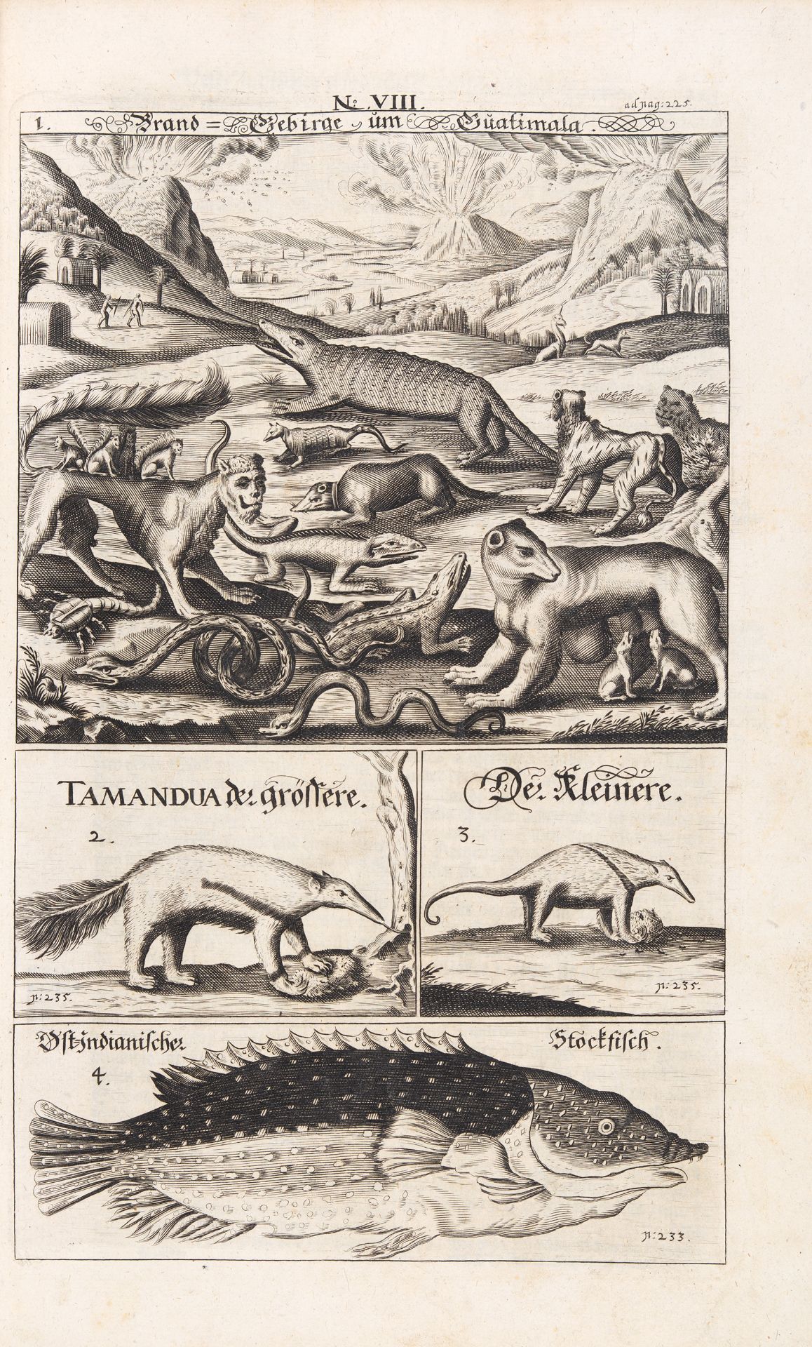 E. Francisci, Ost- und West- Indischer Lust- und Staatsgarten. 3 Tle. in 1 Bd. Nürnberg 1668. - Bild 4 aus 9
