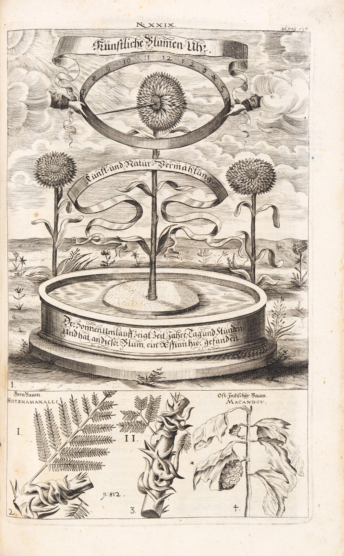 E. Francisci, Ost- und West- Indischer Lust- und Staatsgarten. 3 Tle. in 1 Bd. Nürnberg 1668. - Bild 5 aus 9