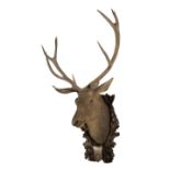 A monumental Austrian carved wood deer head trophy 'Elefánt'