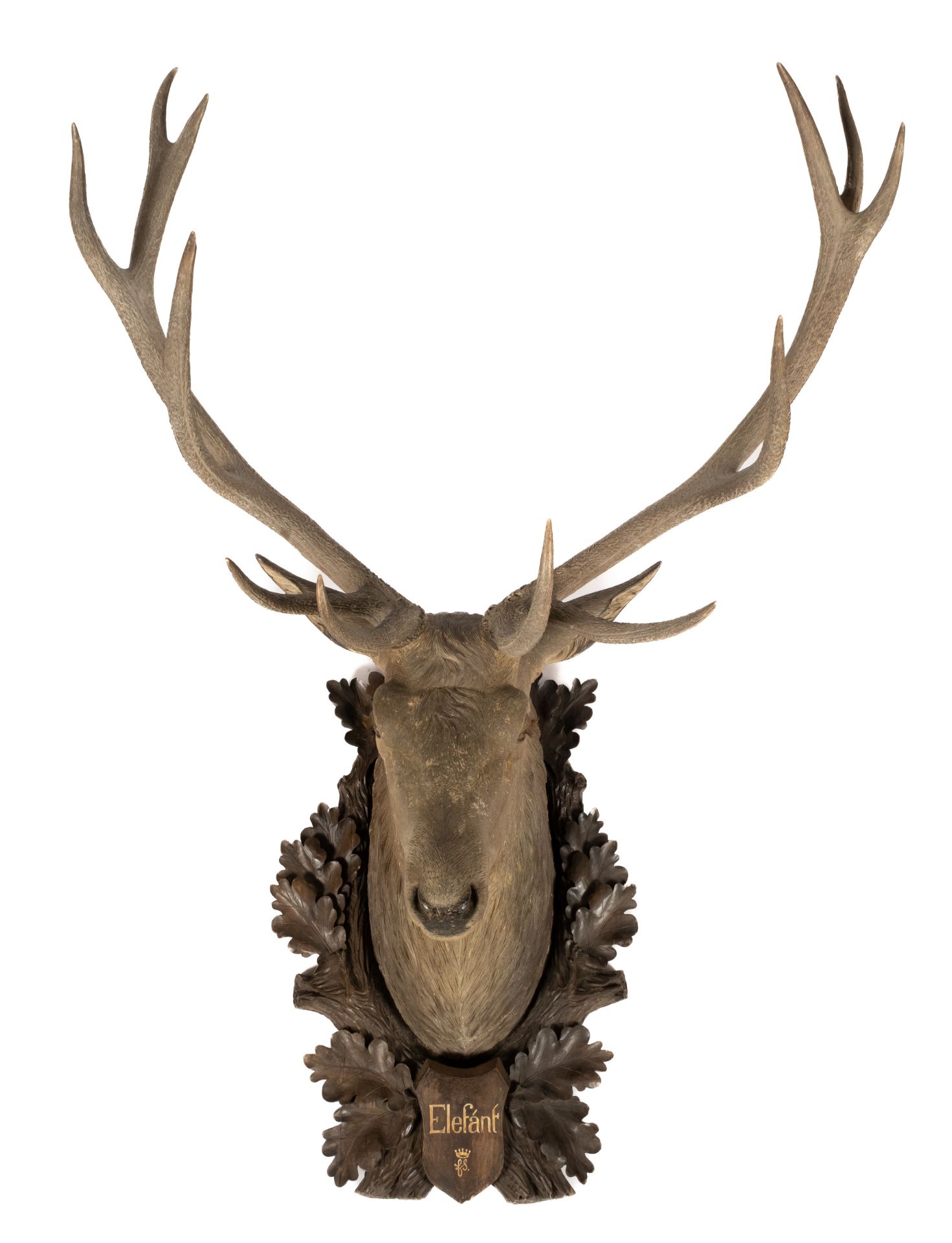 A monumental Austrian carved wood deer head trophy 'Elefánt' - Image 2 of 4