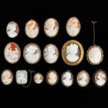 A Collection of 16 Cameo Brooches