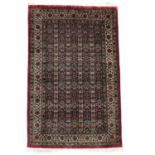 A Silk Carpet