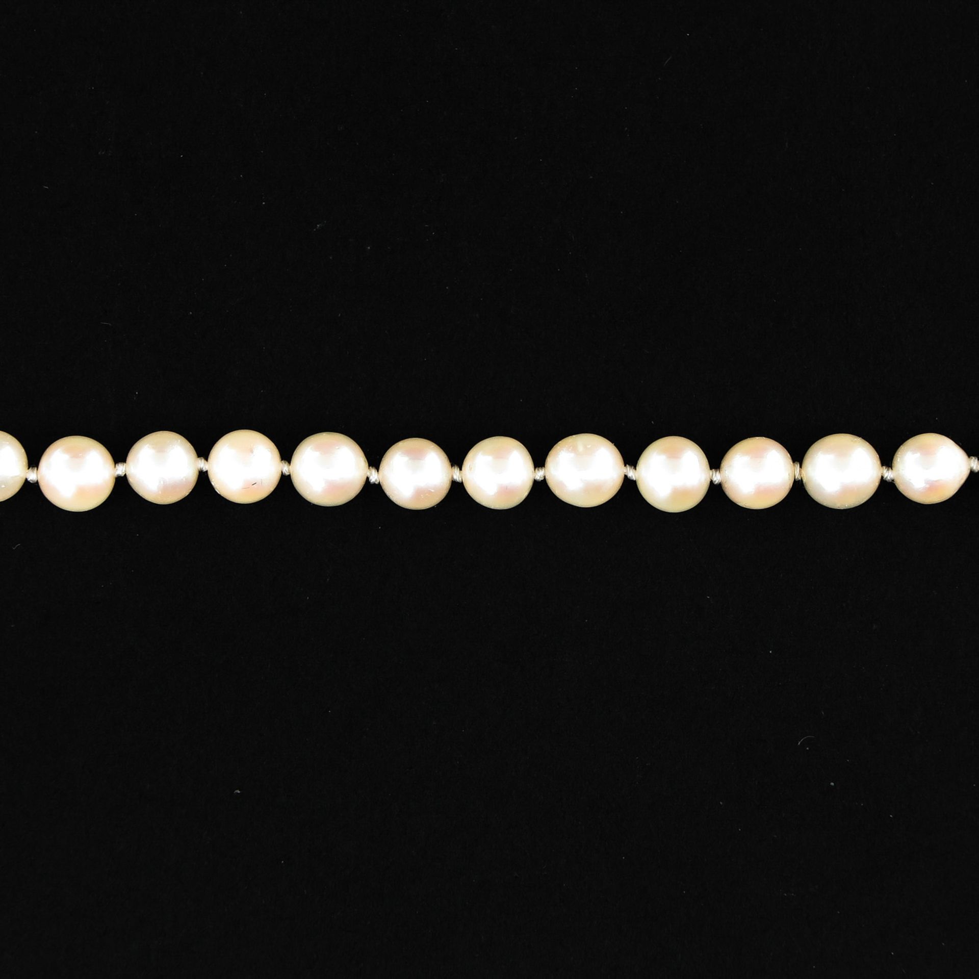A Pearl Necklace with 14KG Clasp - Image 4 of 4