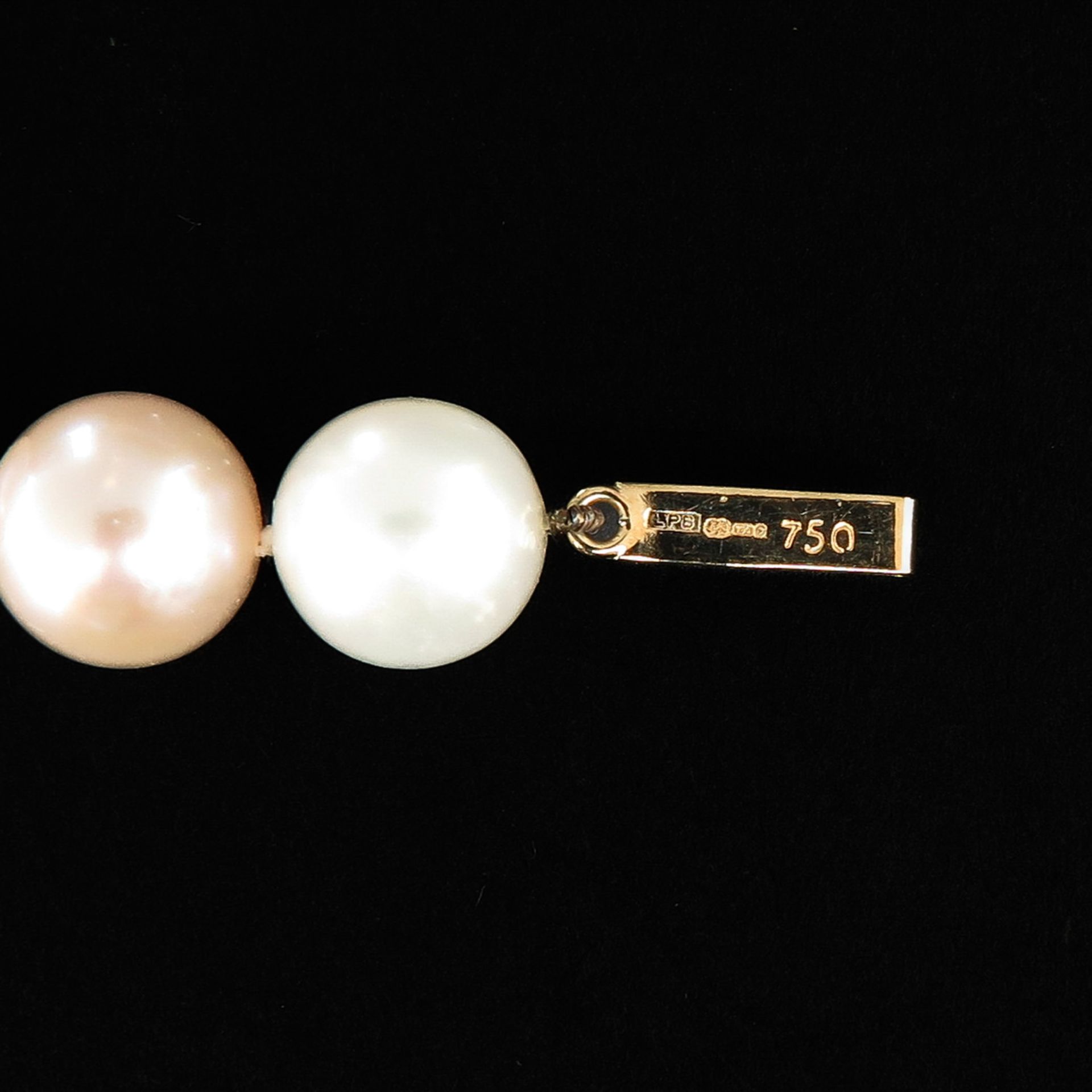 A Single Strand Pearl Necklace - Image 5 of 6