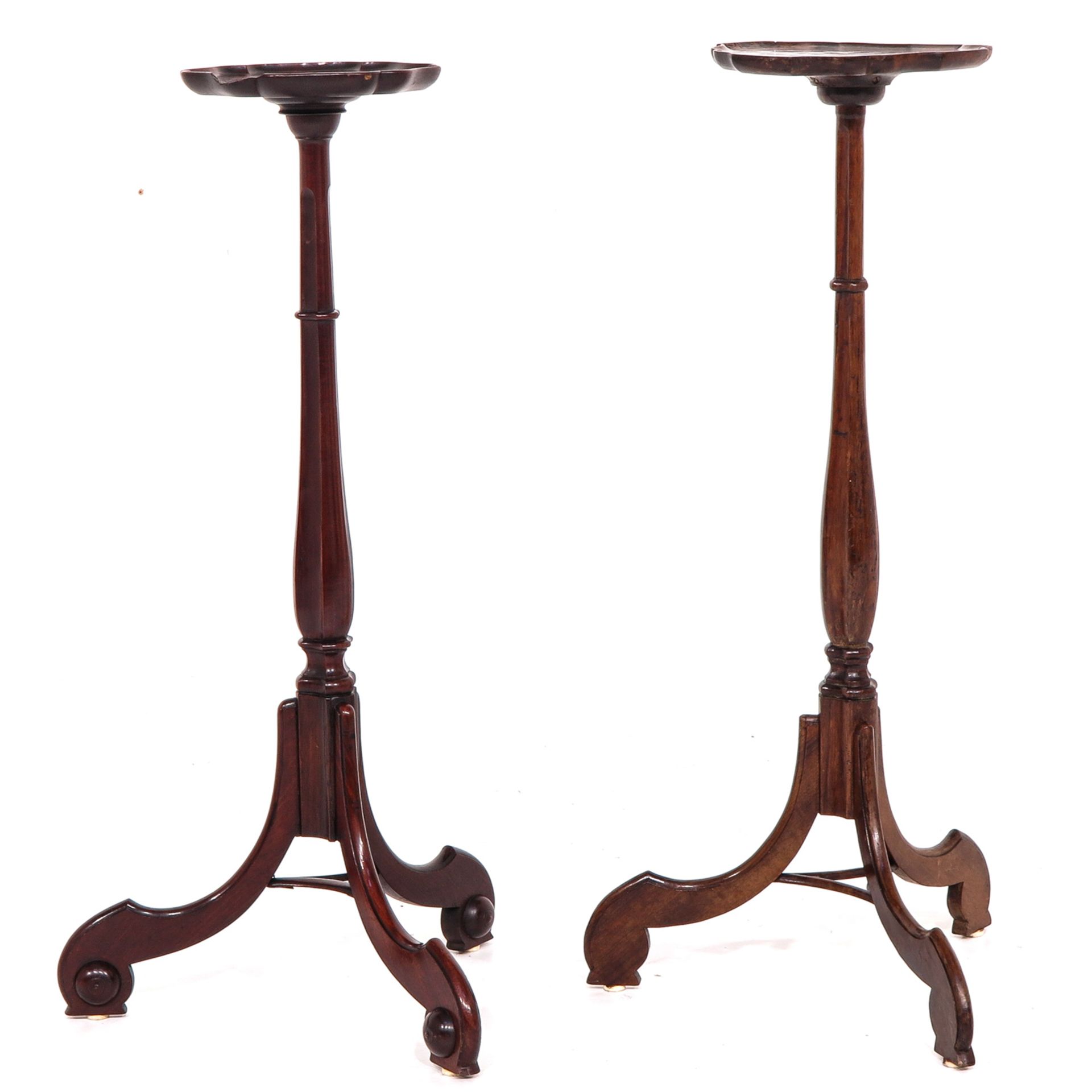 A Lot of 2 19th Century Dutch Plant Tables - Image 2 of 10