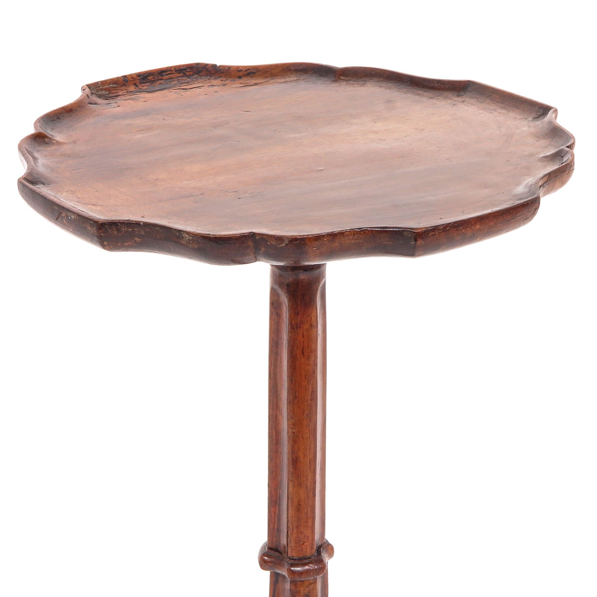 A Lot of 2 19th Century Dutch Plant Tables - Image 9 of 10