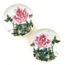 A Pair of Famille Rose Saucers