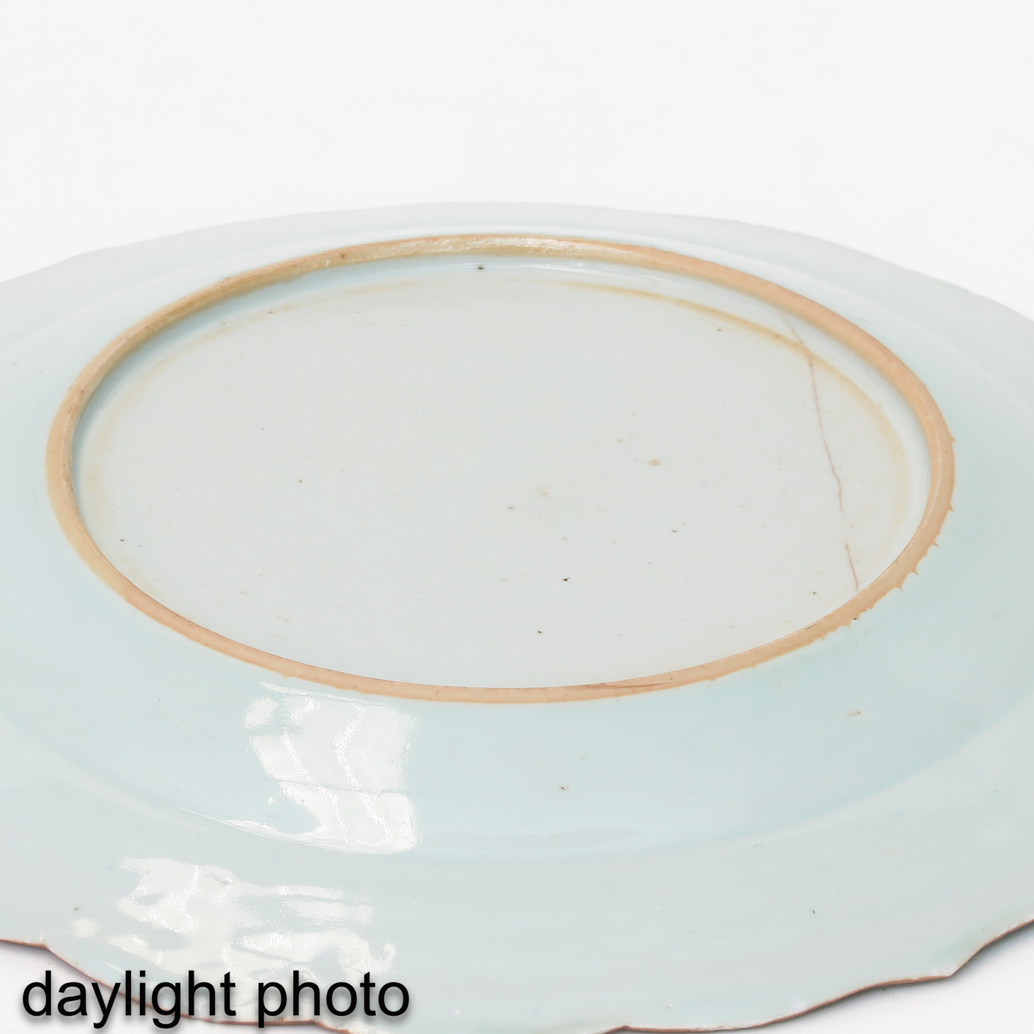 A Pair of Polychrome Plates - Image 8 of 9