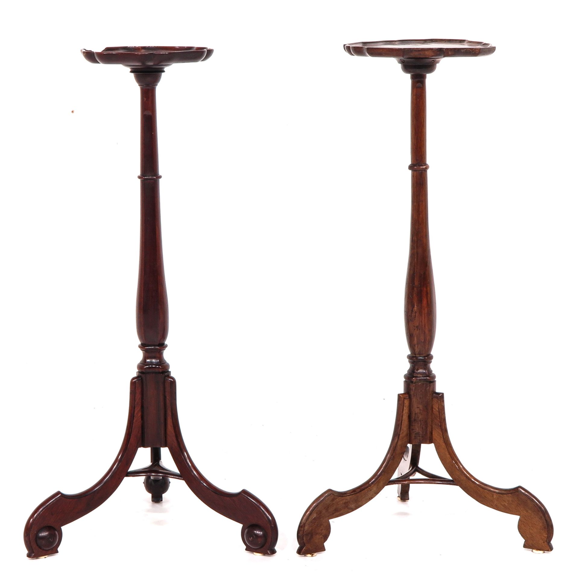 A Lot of 2 19th Century Dutch Plant Tables - Image 3 of 10