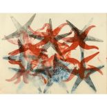 Philip Taaffe (b. 1955)"Starfish (Asterios Murray)"