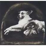 Joel-Peter Witkin (b. 1939)"The Result of War: Cornucopian Dog"