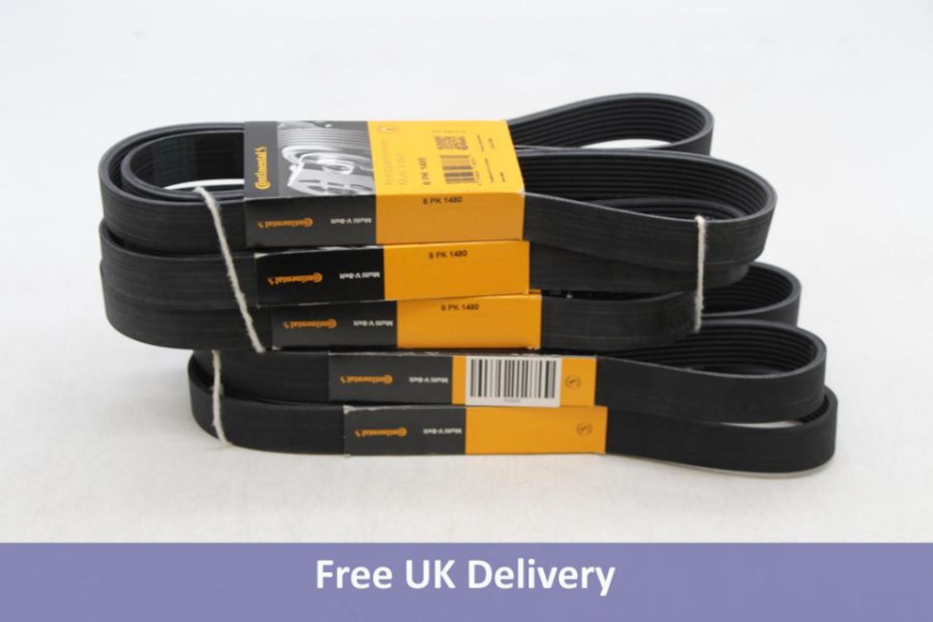 Continental V-Ribbed Multi V-Belt 8 PK 1480, Pack Of 5