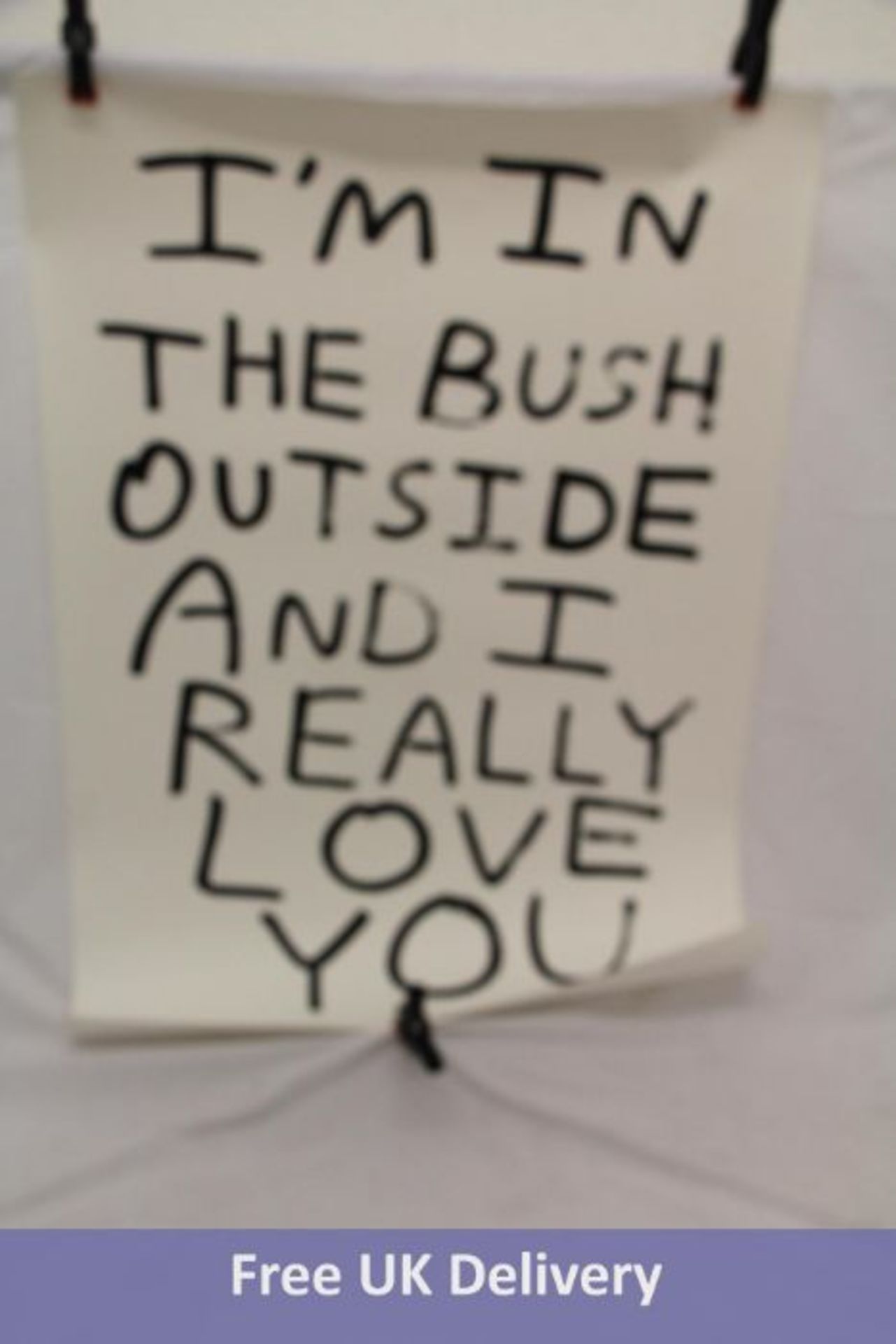 Art Republic, I'm In The Bush Outside And I Really Love You, Inscription