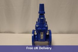 Avk Resilient Seated Gate Valve