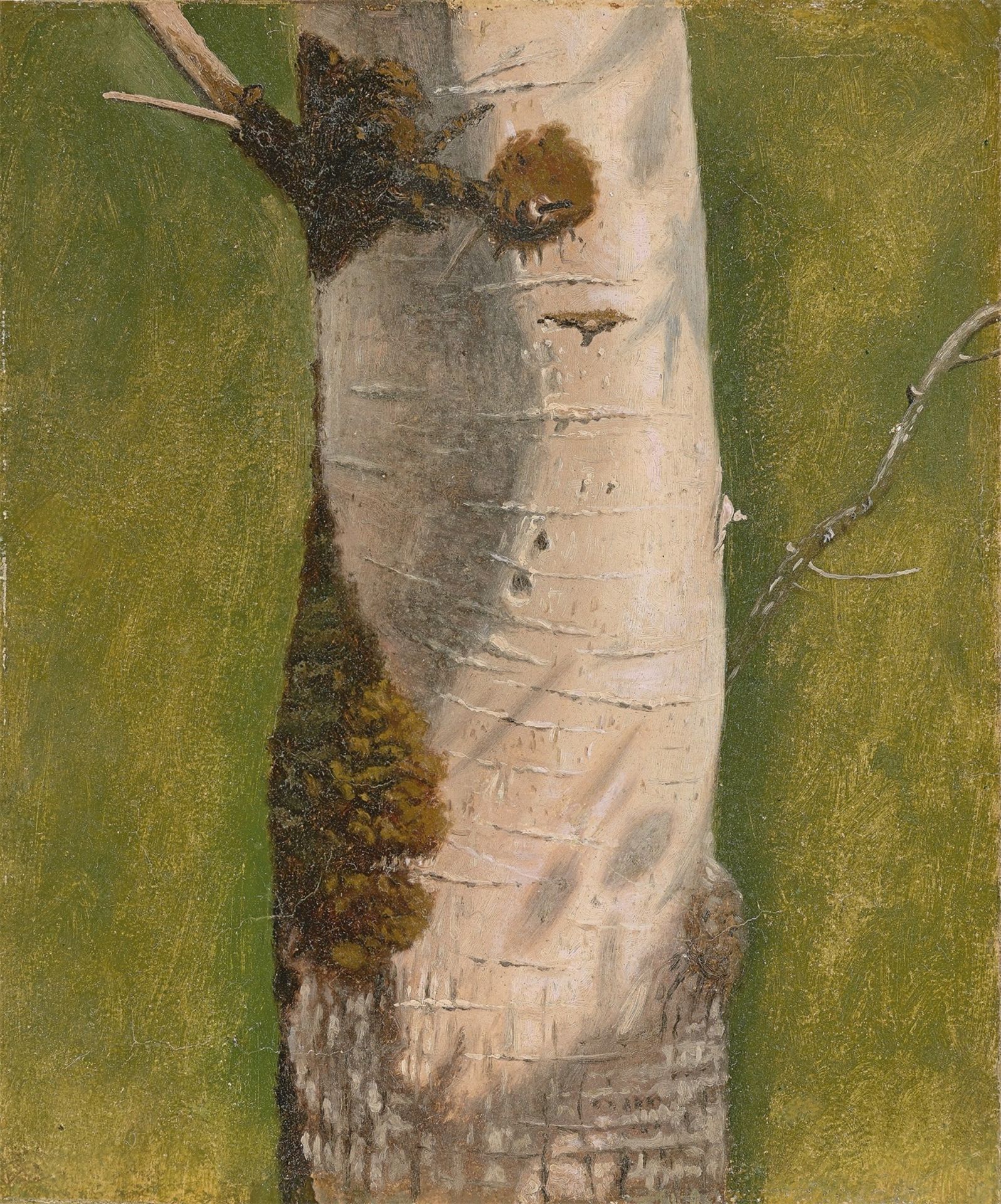 Christen Dalsgaard. Tree trunk. 1840s