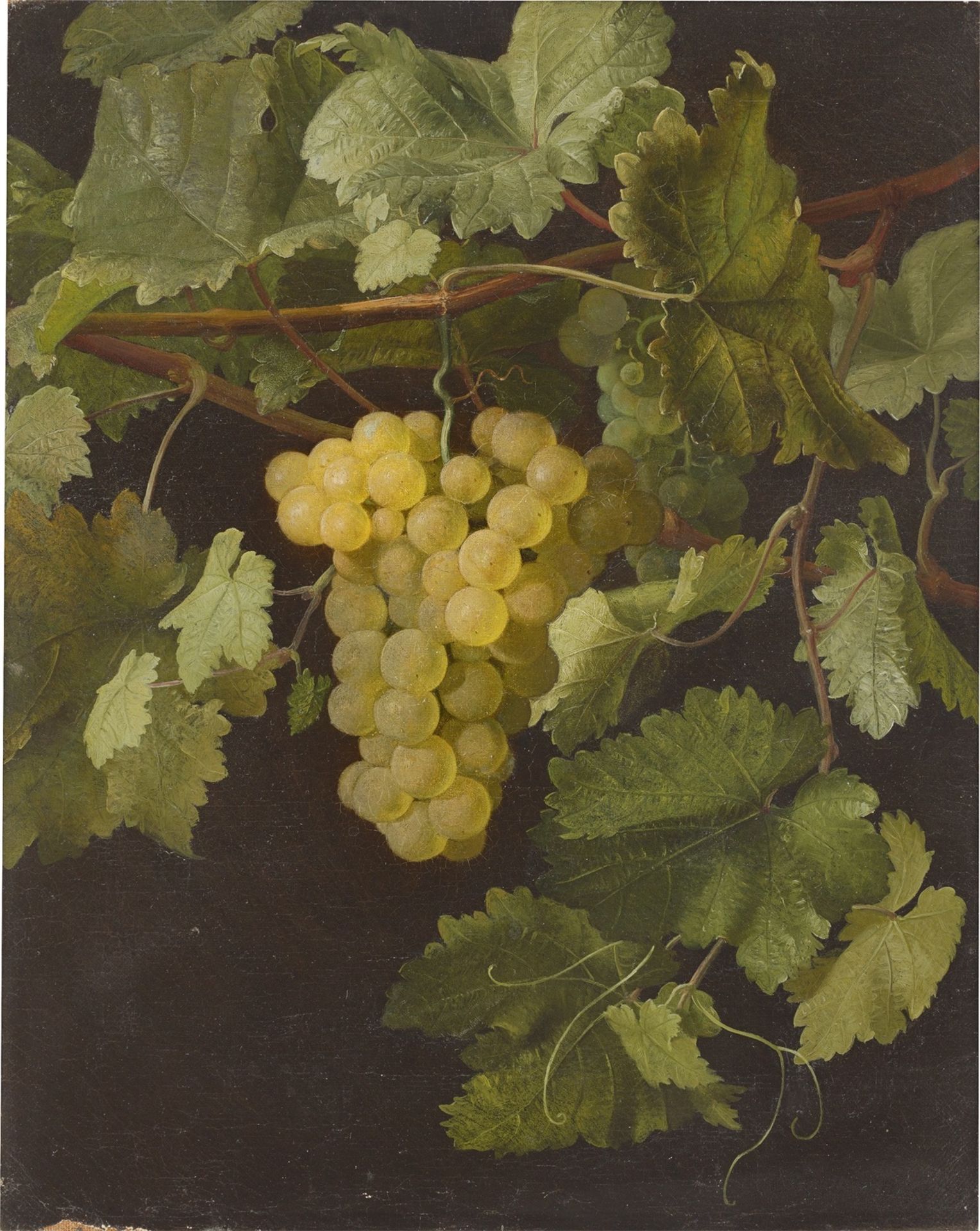 Danish, circa 1850. Grapevine.
