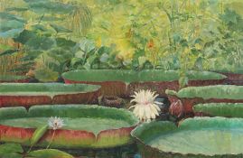 Karl Zorn. Victoria regia. 1920s