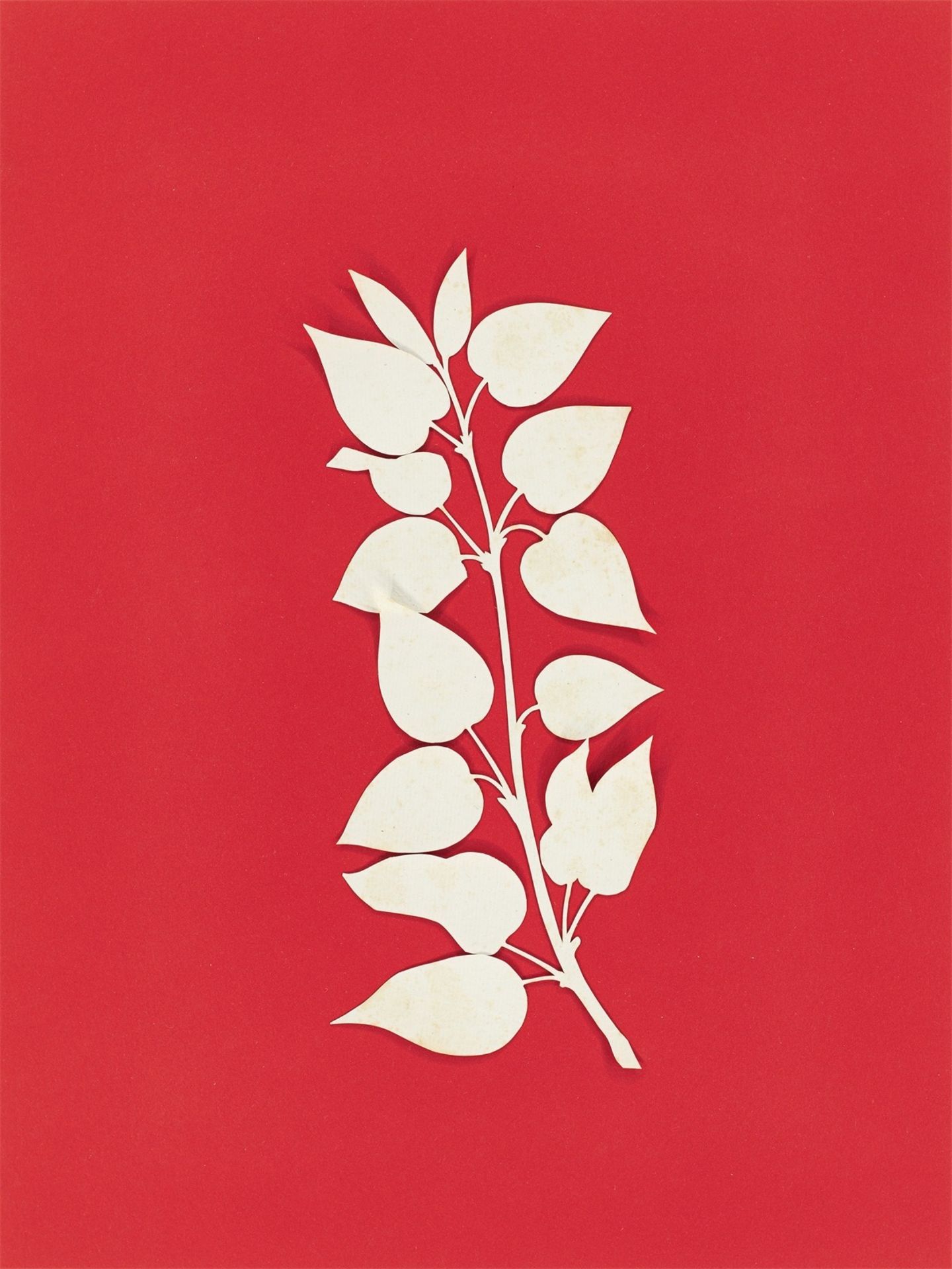 Philipp Otto Runge. „Blätterzweig“.