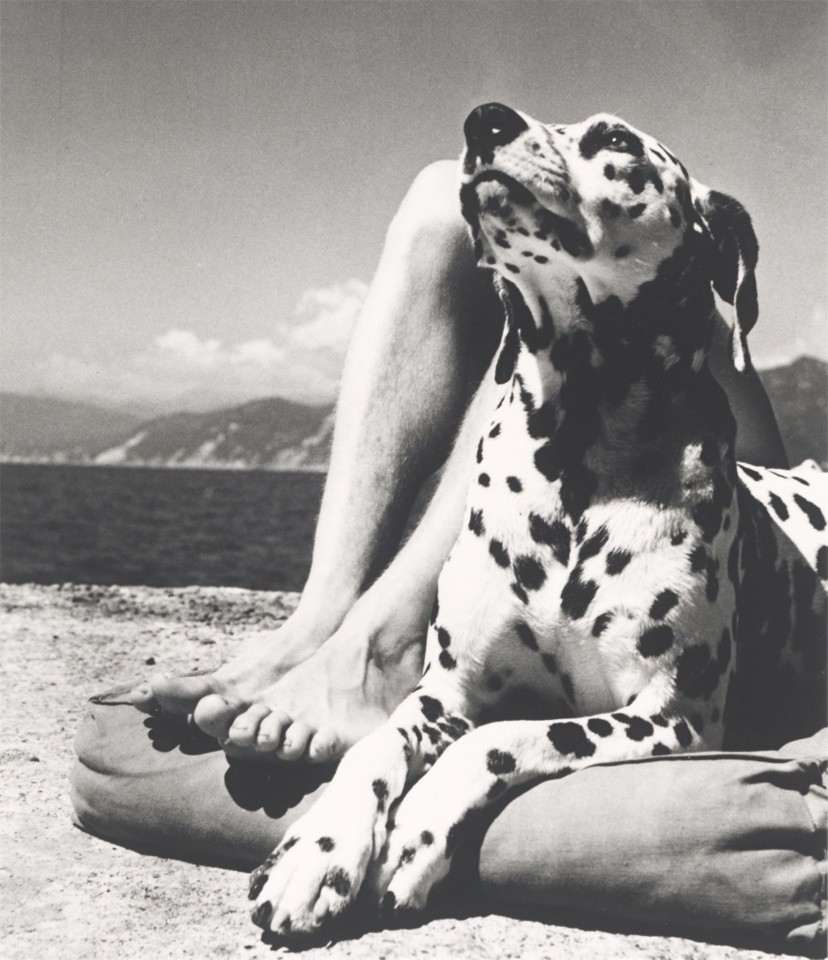 Herbert List. Herr und Hund, Portofino. 1936