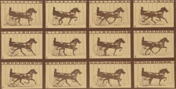 Eadweard  Muybridge (Edward James Muggeridge). 'Abe Edgington' Trotting at a 2:24 Gait over t…. 1878