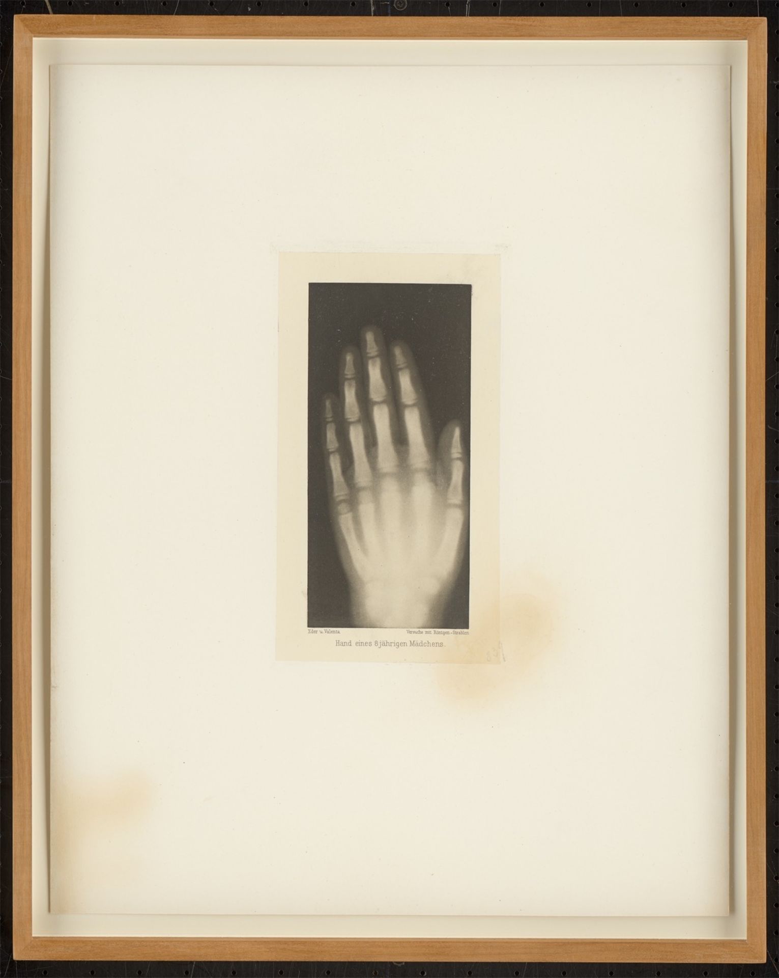Josef Maria Eder u. Eduard Valenta. Portfolio „Versuche über die Photographie mittelst der Rö…. 1896 - Bild 10 aus 32