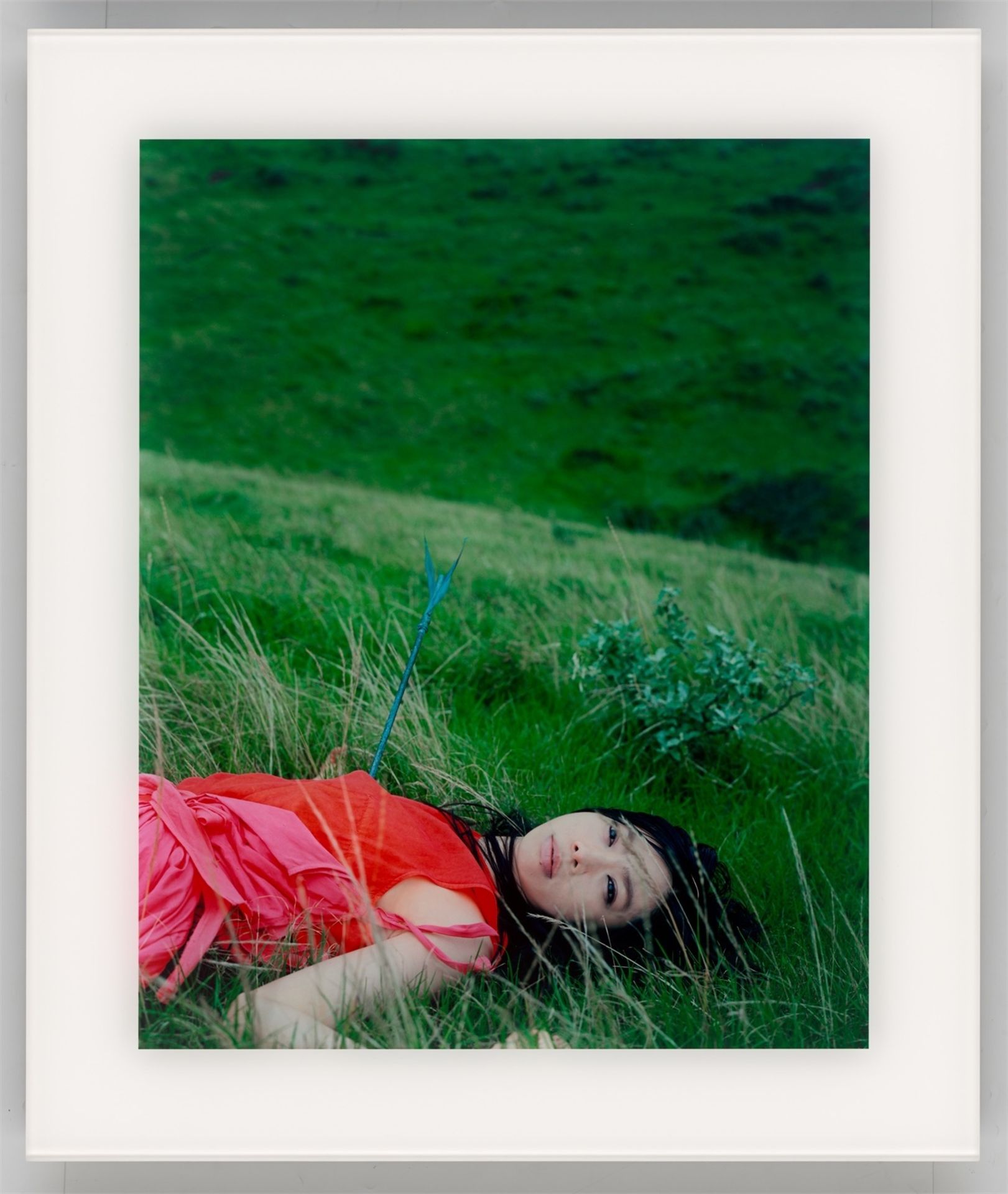 Izima Kaoru. „UA wears Toga“, # 374 aus der Serie „Landscapes with a Corpse“, 1995–200…. 2003 / 1998 - Bild 2 aus 7