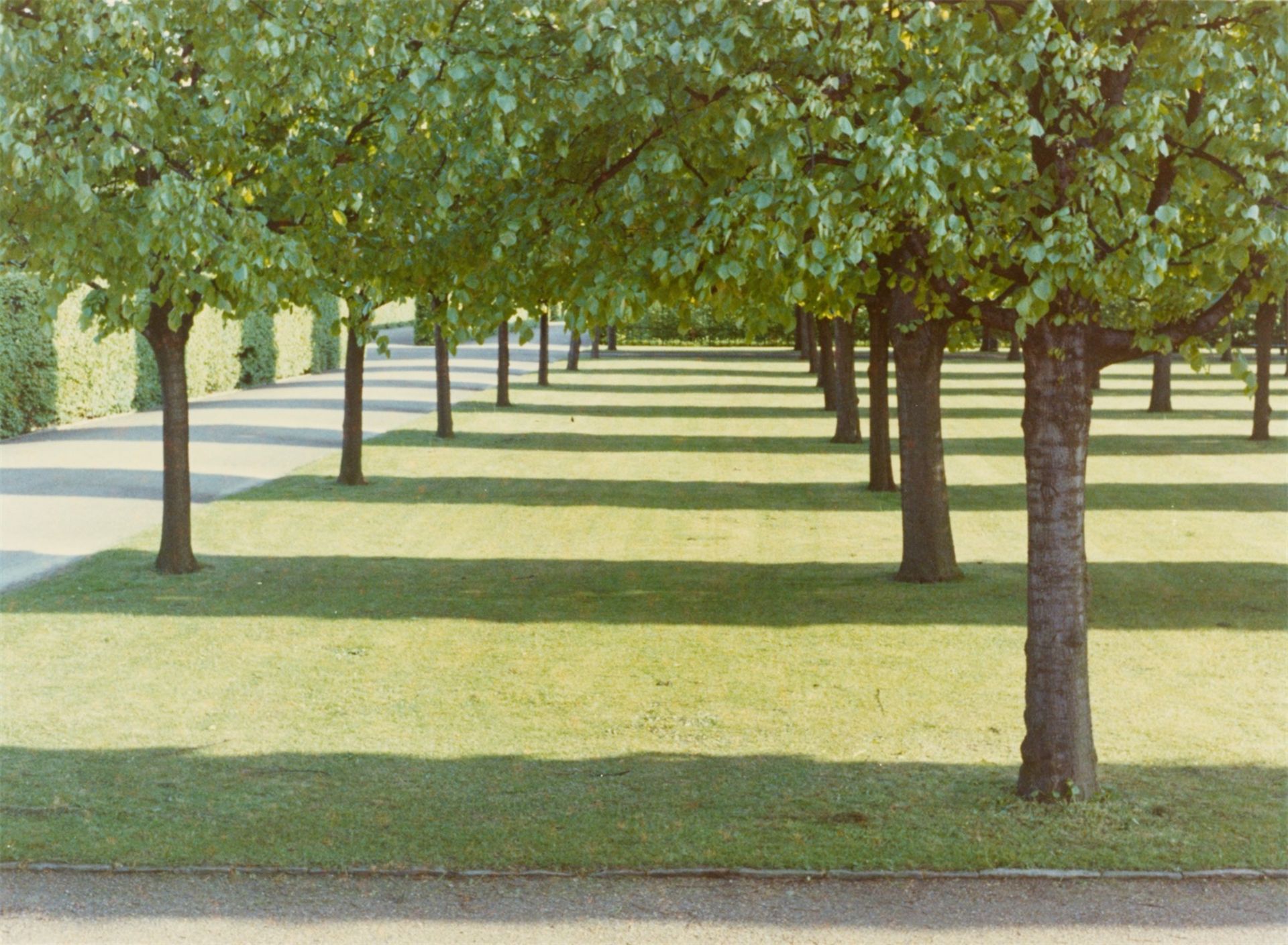 David Hockney. Konvolut aus: „Twenty Photographic Pictures“, 1970–1975. - Bild 29 aus 33