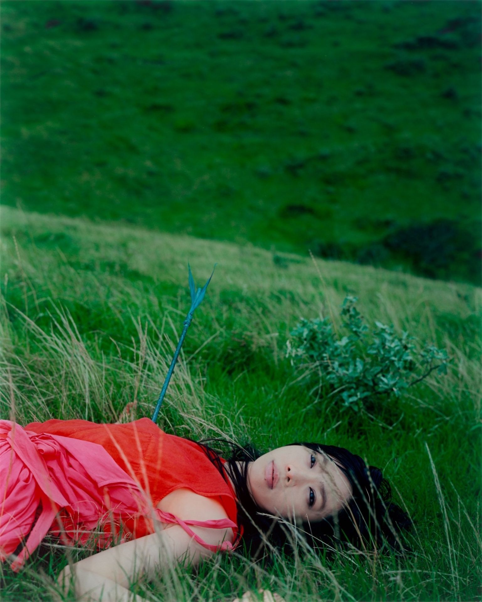 Izima Kaoru. „UA wears Toga“, # 374 aus der Serie „Landscapes with a Corpse“, 1995–200…. 2003 / 1998