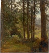 German, circa 1840. Mountain forest.