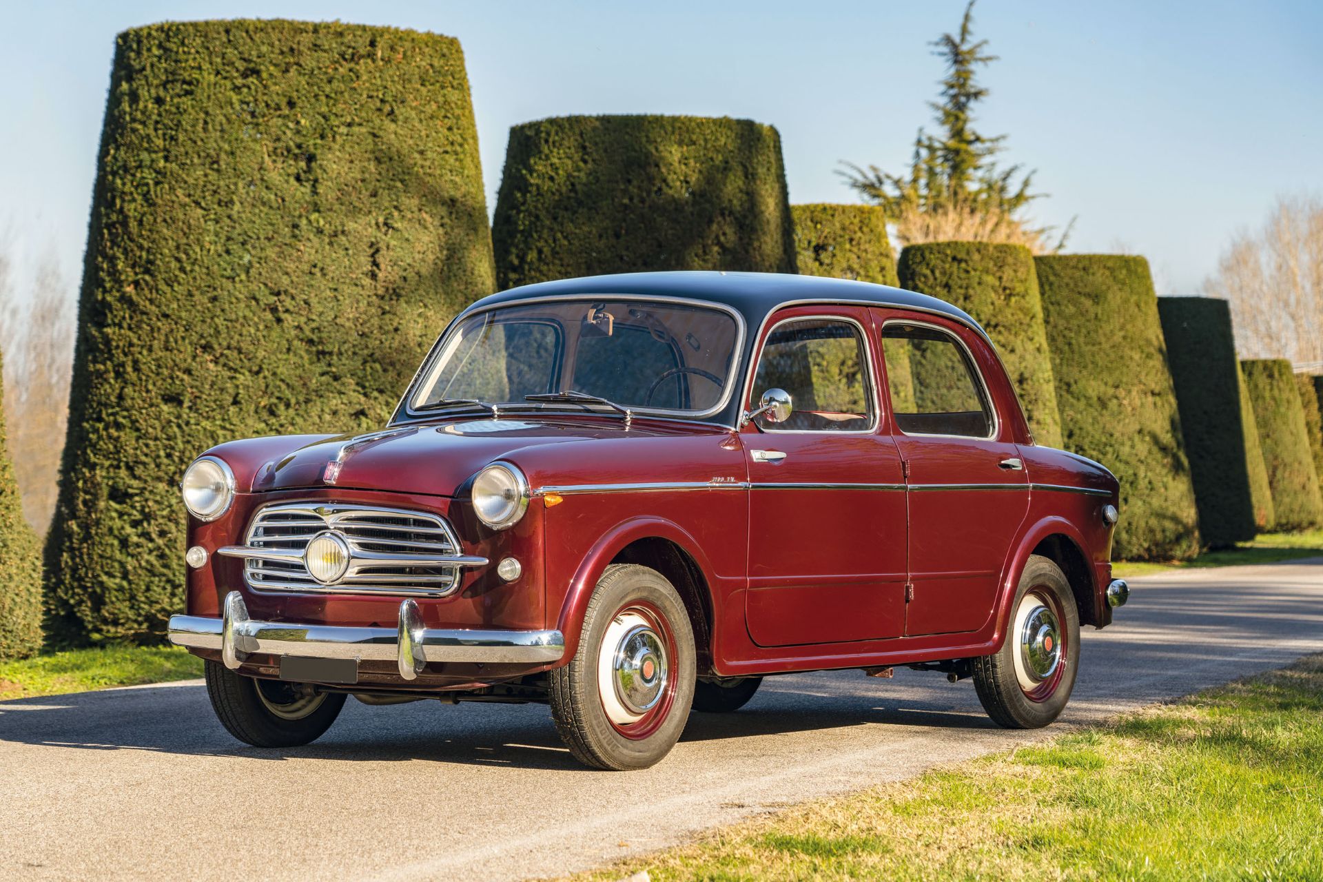 1956 FIAT 1100 103/TV