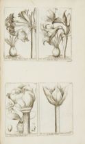 BARELLIER, Jacques (1606 - 1673). Plantae per Galliam, Hispaniam et Italiam observatae. Paris: