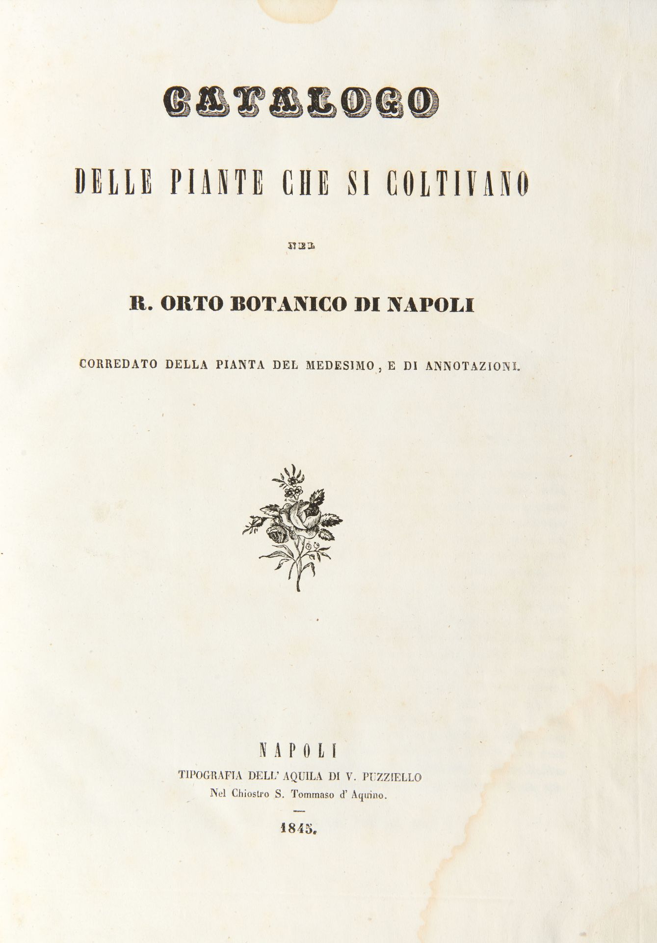 [AGRICULTURE] TENORE Michele (1810-1838). Catalogo delle piante che si coltivano nel R. Orto - Bild 3 aus 3