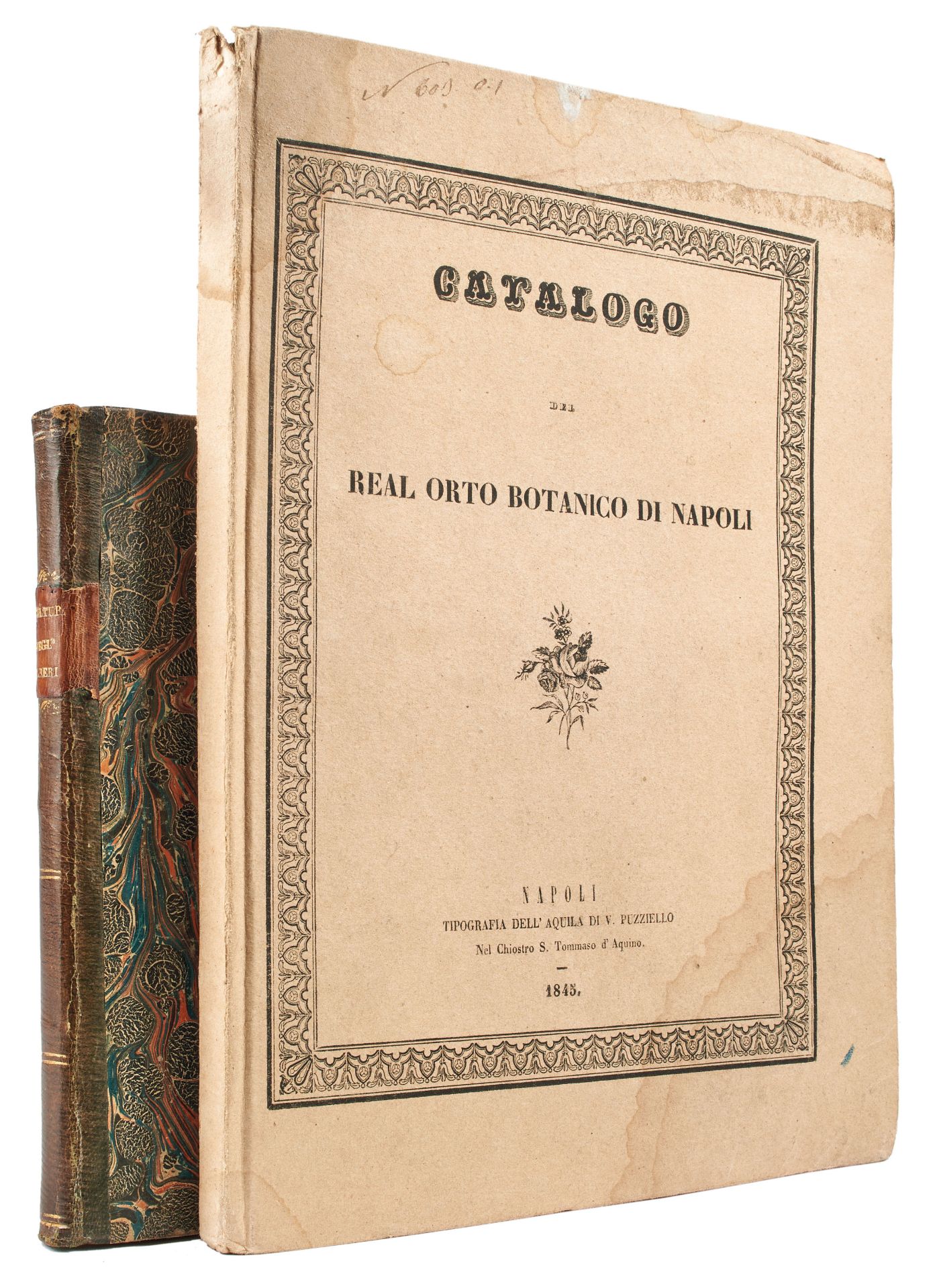 [AGRICULTURE] TENORE Michele (1810-1838). Catalogo delle piante che si coltivano nel R. Orto - Bild 2 aus 3