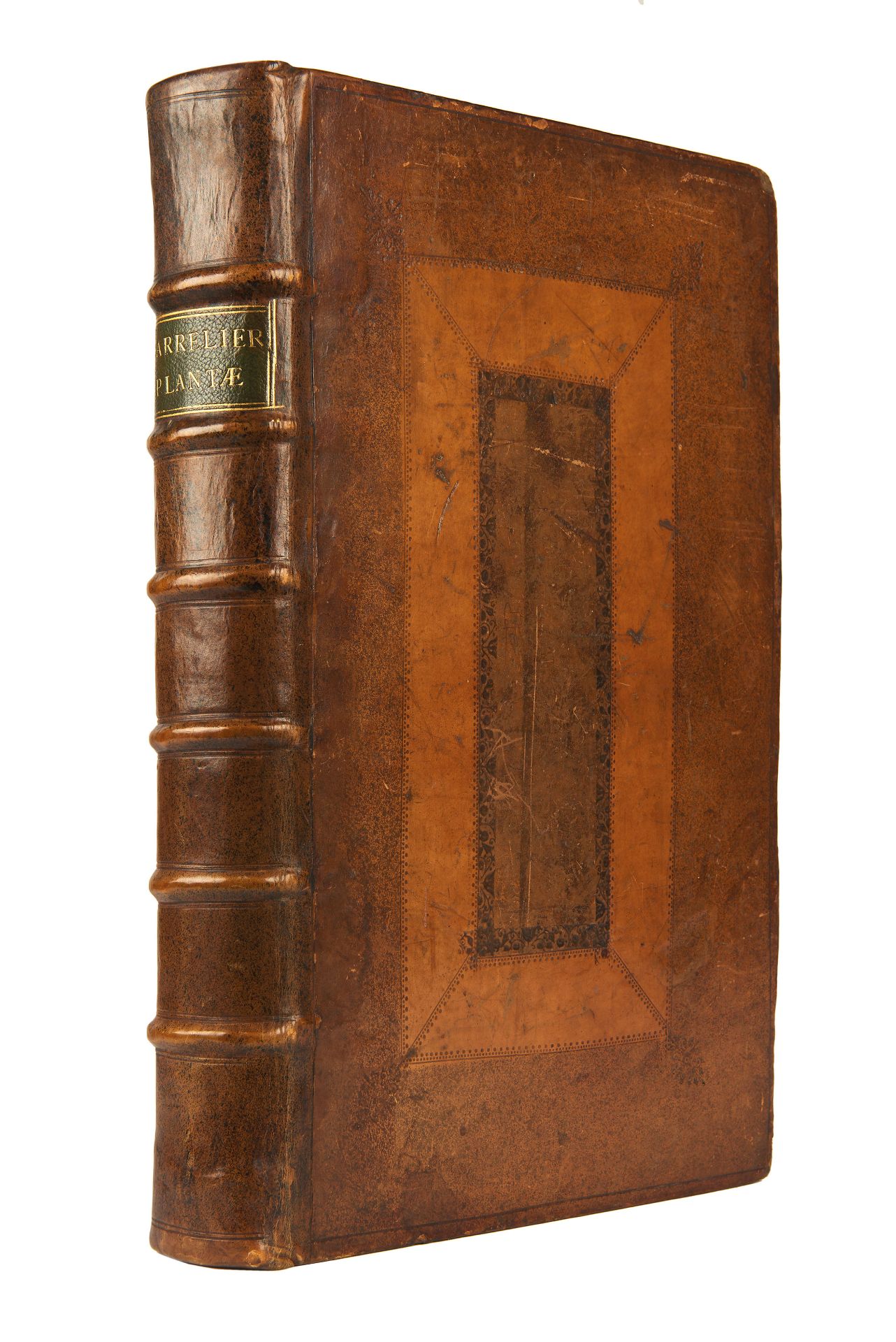 BARELLIER, Jacques (1606 - 1673). Plantae per Galliam, Hispaniam et Italiam observatae. Paris: - Image 2 of 3