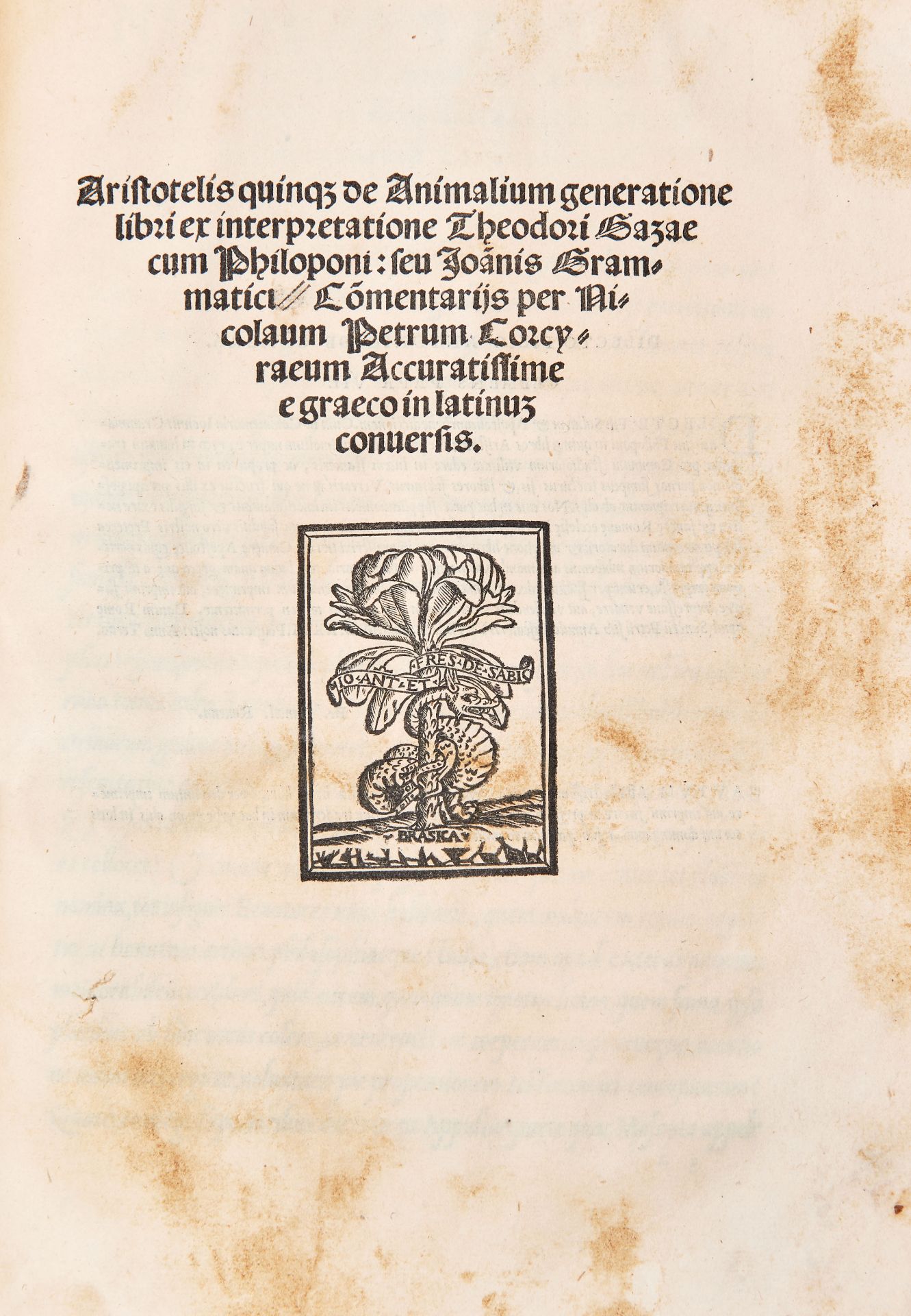 [ARISTOTELE]. Aristotelis de animalium generatione libri quinque cum Philoponi commentarijs. - Image 2 of 4