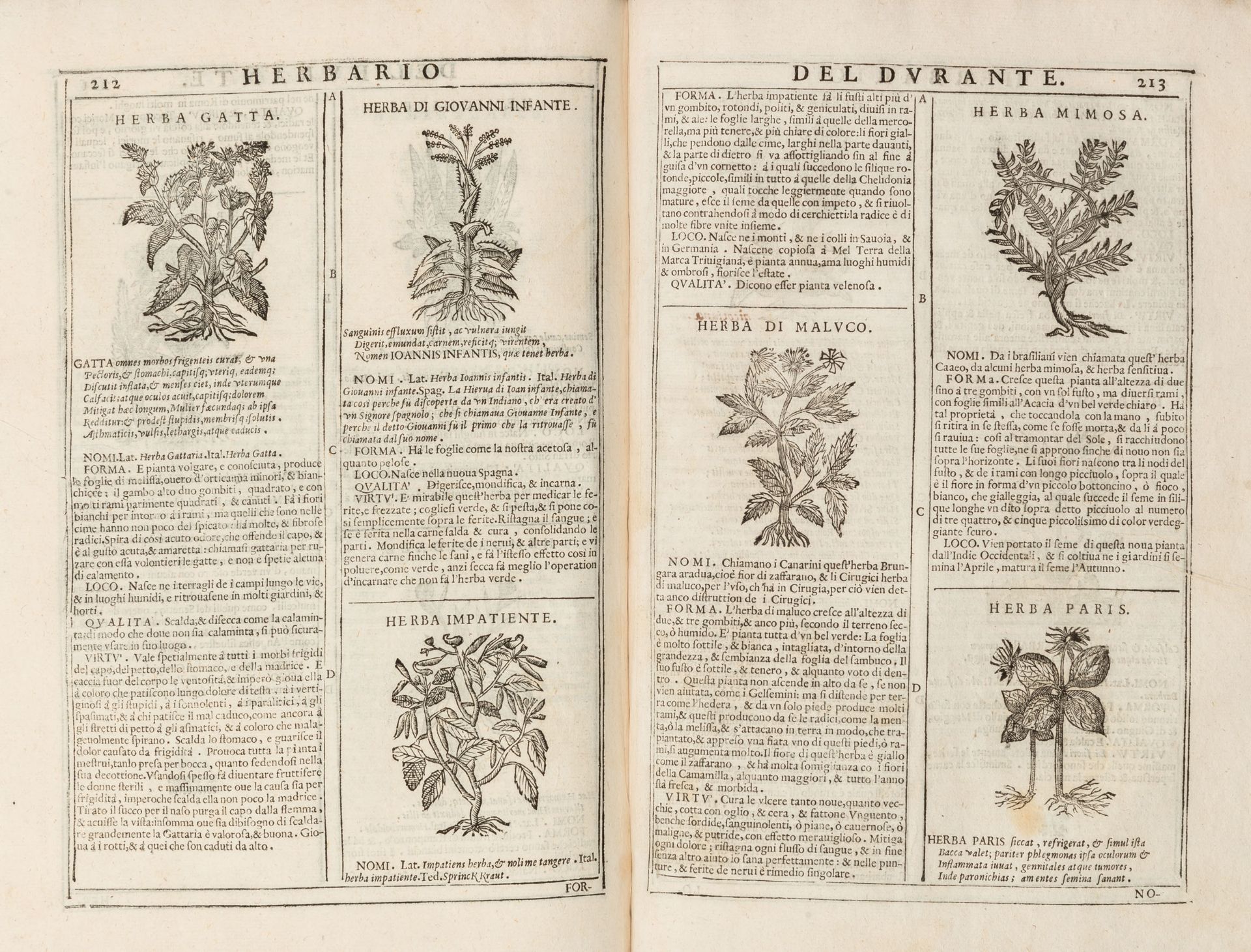 DURANTE, Castor (1529-1590). Herbario nuovo . Venice: Hertz, 1684. - Image 2 of 3