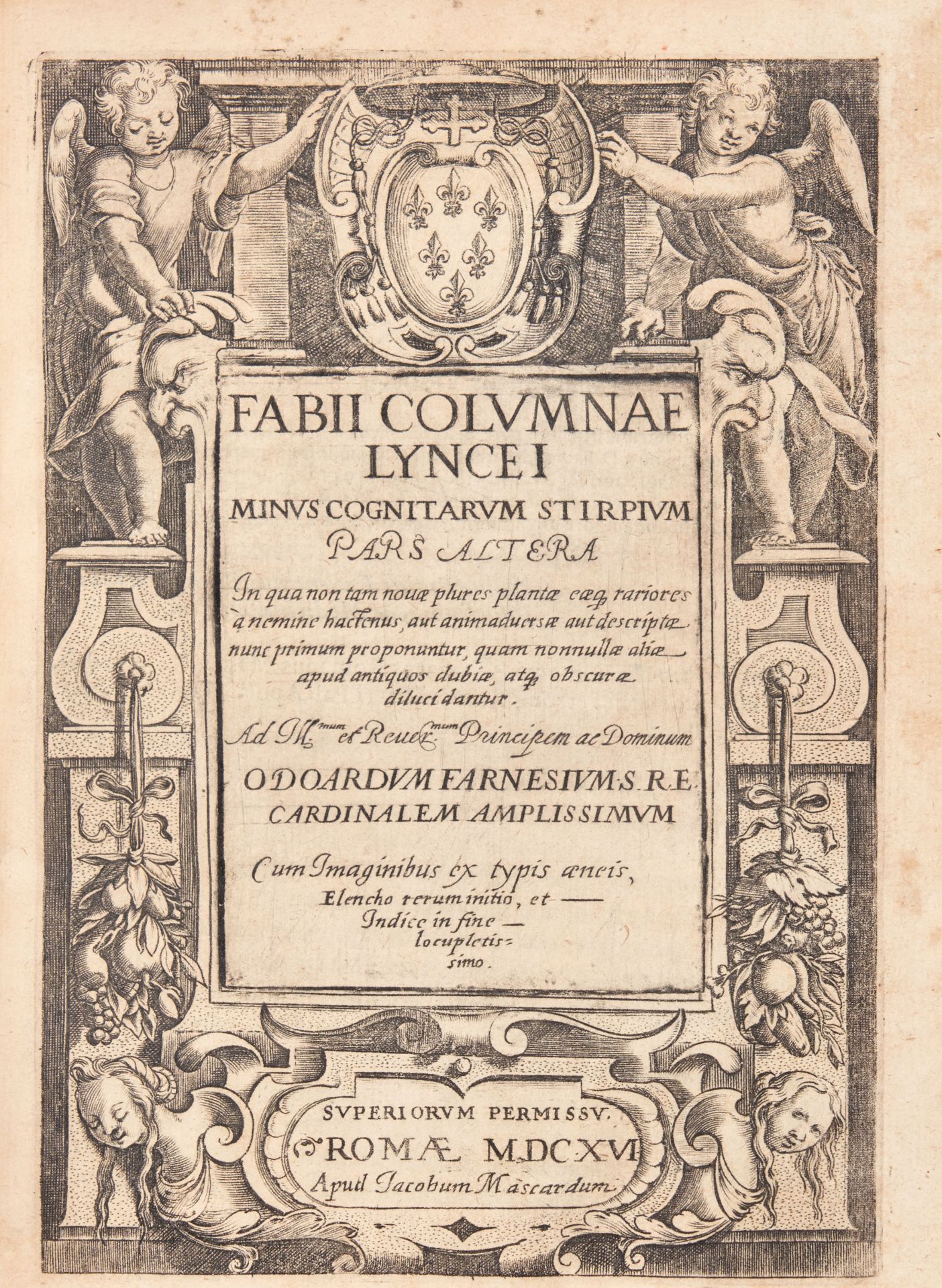 COLONNA, Fabio (1567-1640). Minus cognitarum rariorumque nostro coelo orientium stirpium Ekphrasis. - Bild 2 aus 5