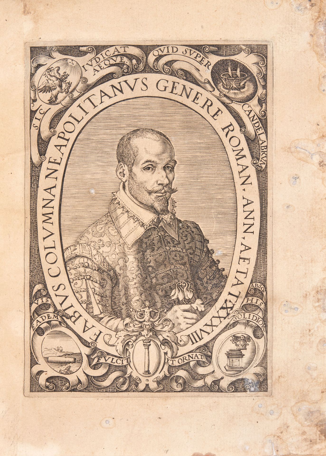 COLONNA, Fabio (1567-1640). Minus cognitarum rariorumque nostro coelo orientium stirpium Ekphrasis. - Bild 4 aus 5