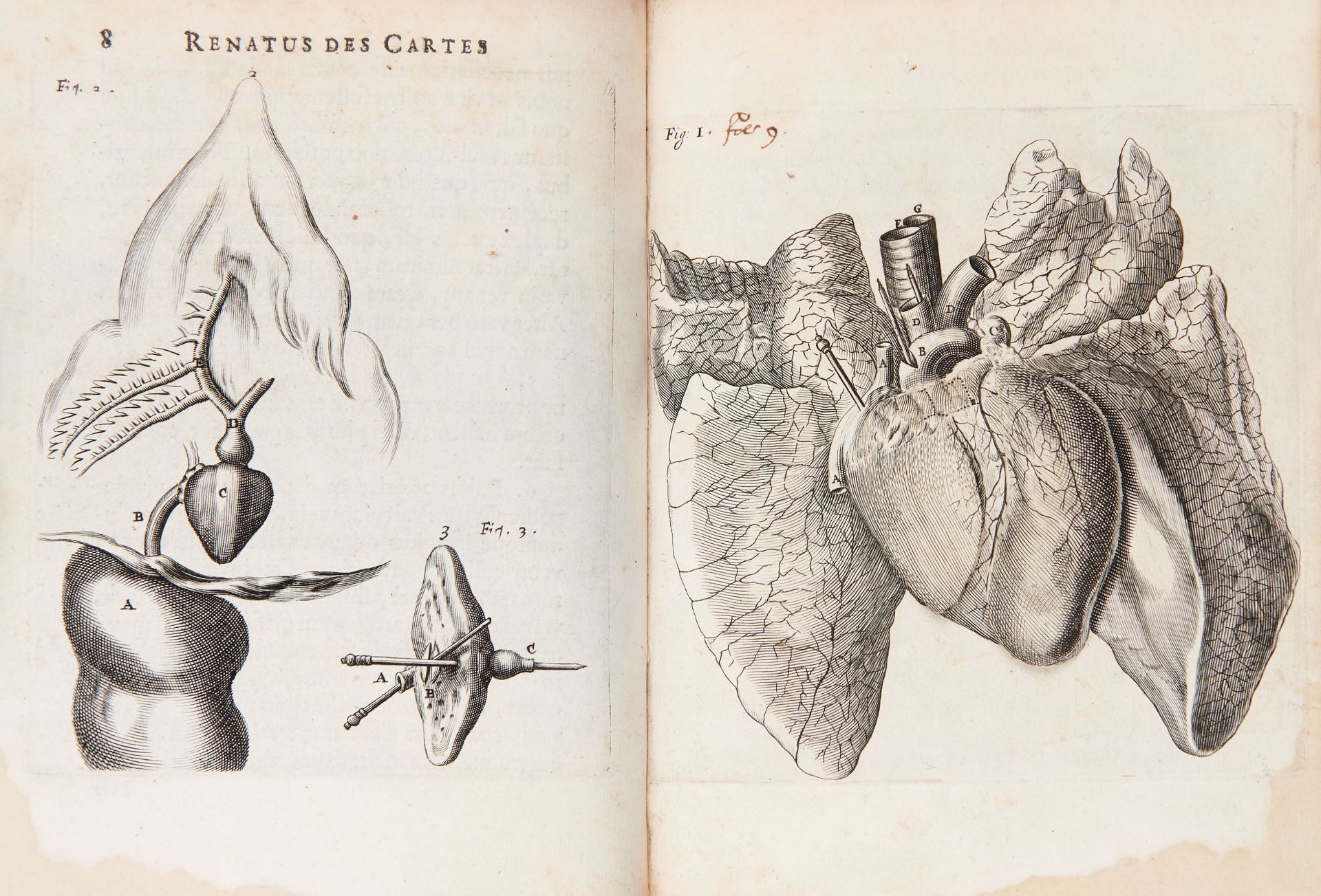 DESCARTES, René (1596-1650). De homine figuris. Leiden: Officina Hackiana, 1664.