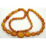 Graduated amber bead necklace, L: 60 cm, largest bead L: 28 mm, 54g. P&P Group 1 (£14+VAT for the