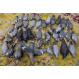 Mixed decoy pigeons and half-pigeons. P&P Group 3 (£25+VAT for the first lot and £5+VAT for